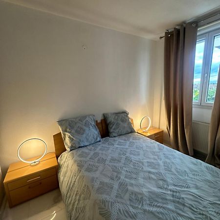 Tres Beau Trois Pieces Avec Vue Degagee Διαμέρισμα Στρασβούργο Εξωτερικό φωτογραφία