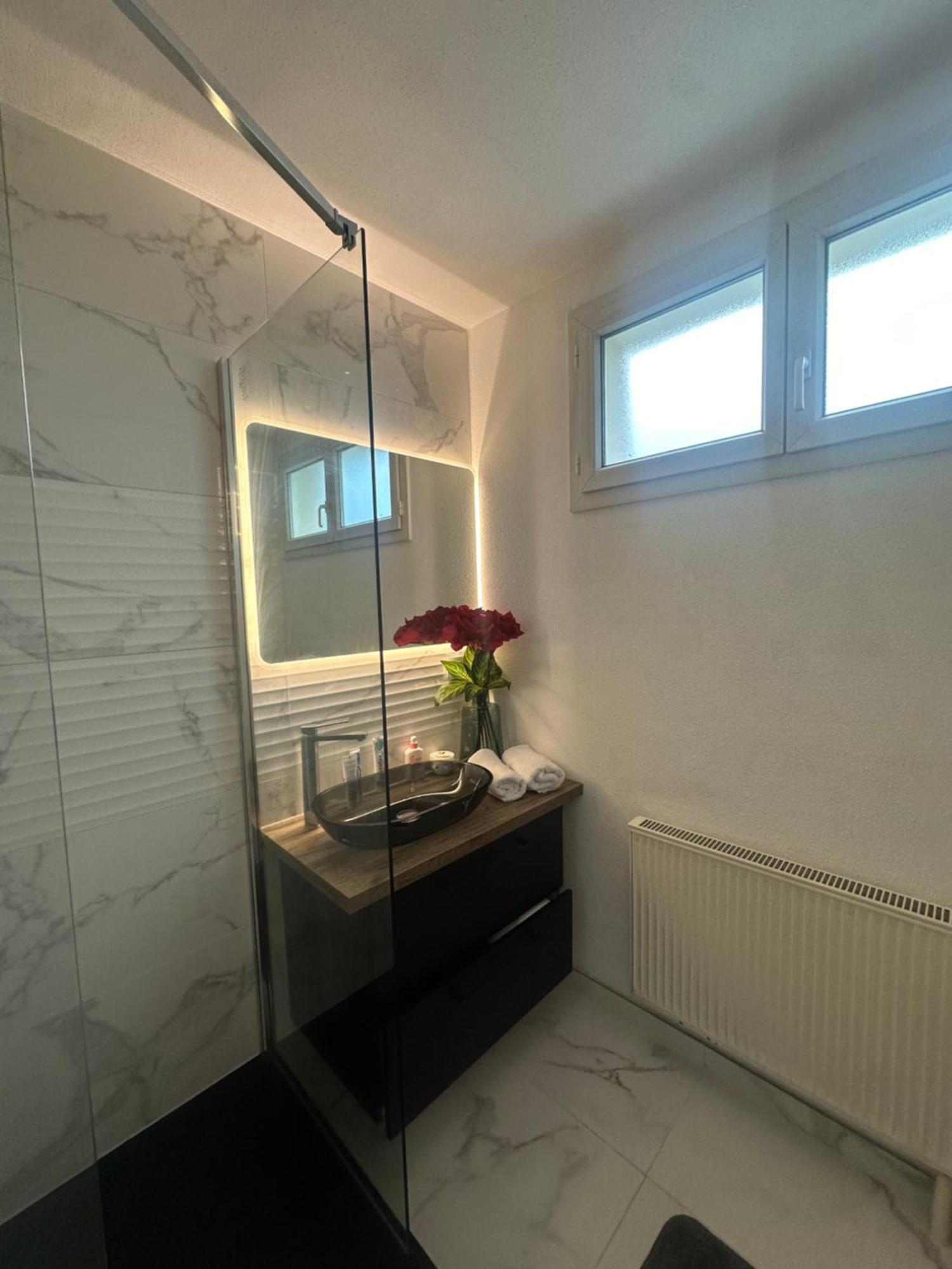 Tres Beau Trois Pieces Avec Vue Degagee Διαμέρισμα Στρασβούργο Εξωτερικό φωτογραφία